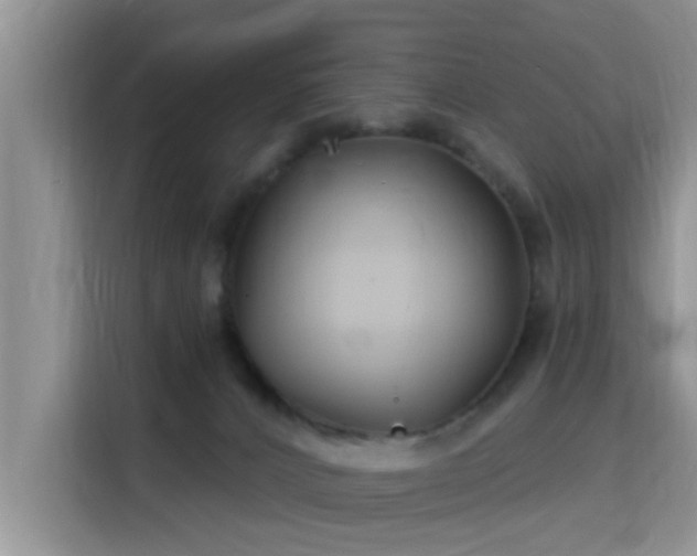 X0000115690032200911191123