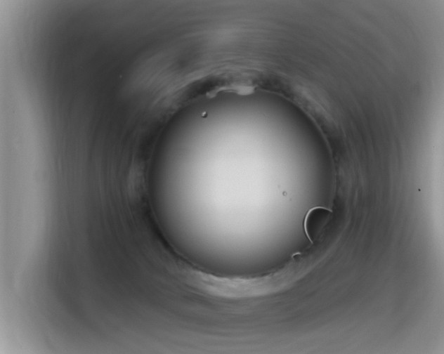 X0000115690034200911191123