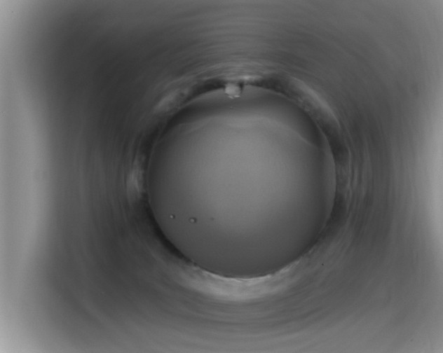 X0000115690035200911191123