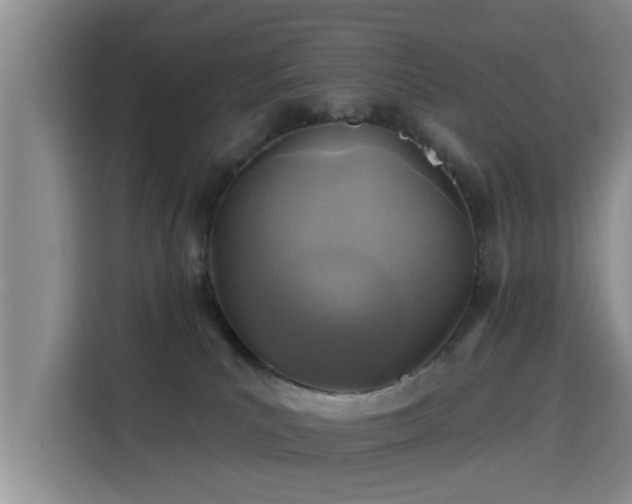 X0000115690039200911191123