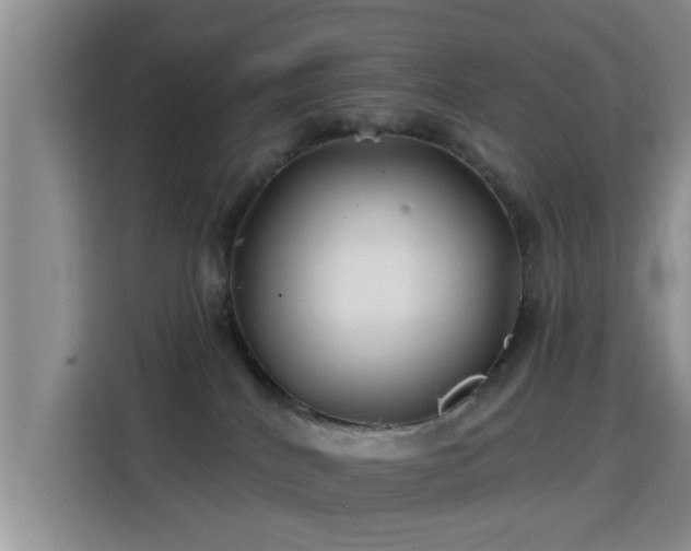 X0000115690040200911191123