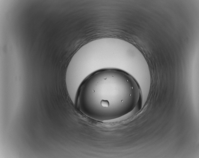 X0000115690041200911191123