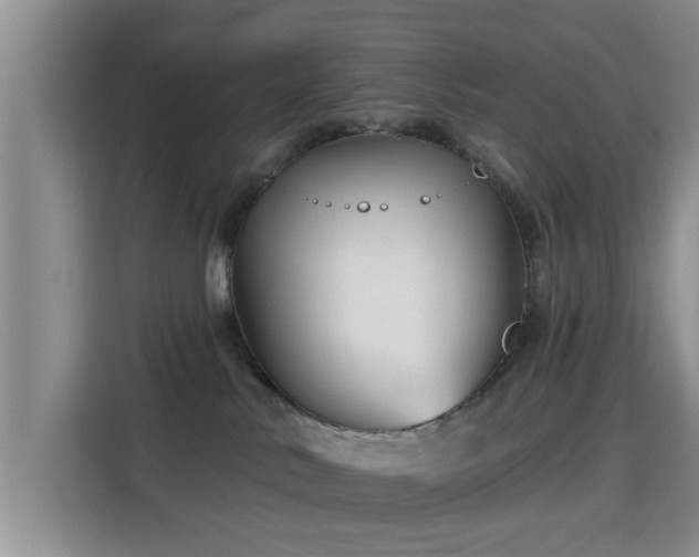 X0000115690042200911191123