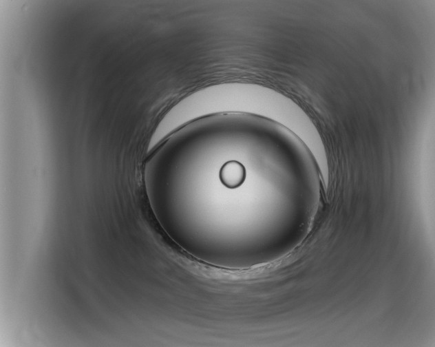 X0000115690043200911191123