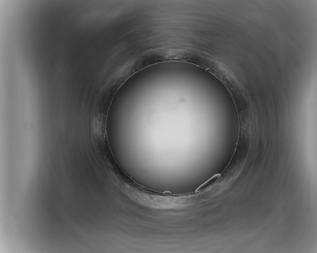 X0000115690044200911191123