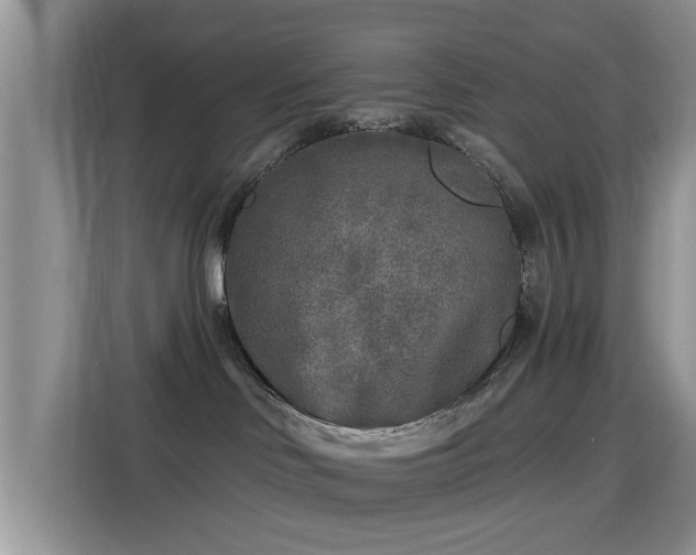 X0000115690046200911191123