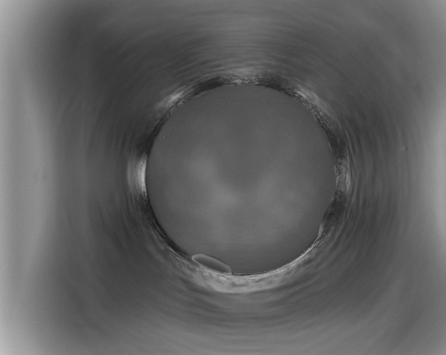 X0000115690047200911191123