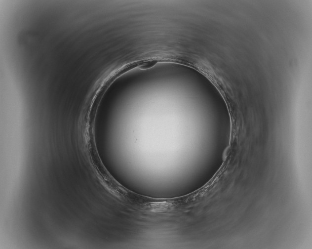 X0000115690050200911191122