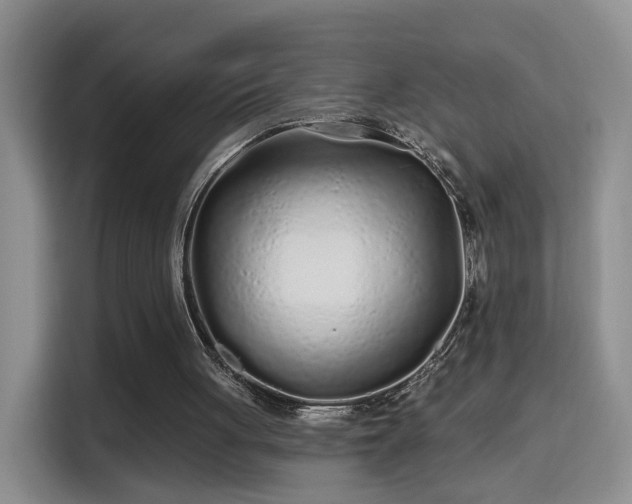 X0000115690051200911191122