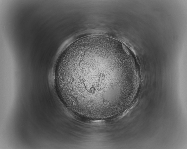 X0000115690053200911191122