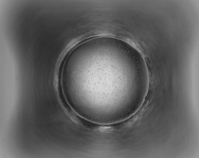 X0000115690055200911191122