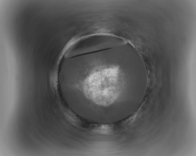 X0000115690056200911191122