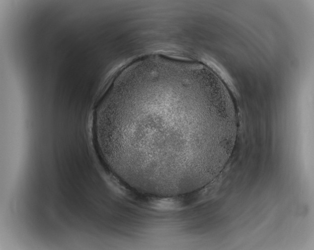 X0000115690058200911191122