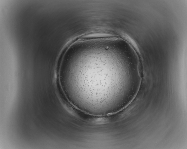 X0000115690059200911191122