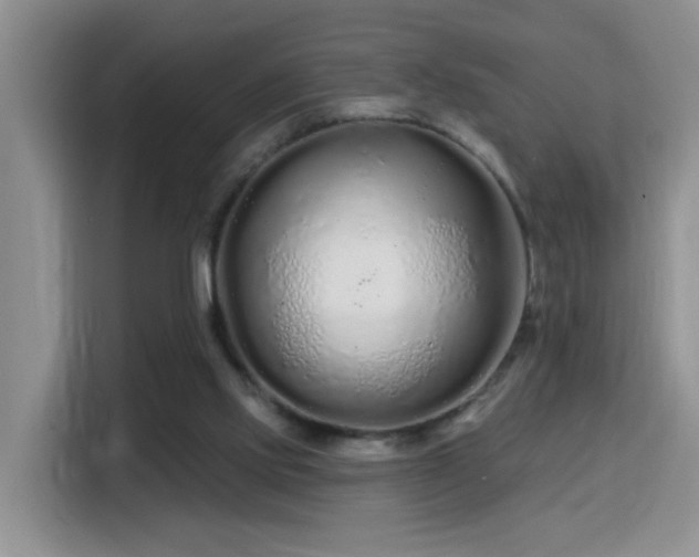 X0000115690061200911191122