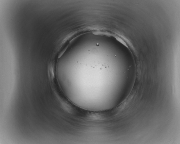 X0000115690062200911191122