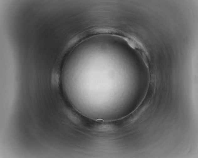 X0000115690063200911191122