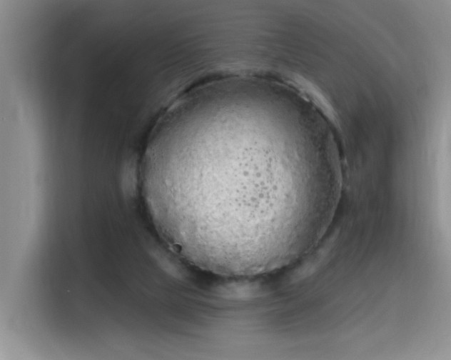 X0000115690065200911191122