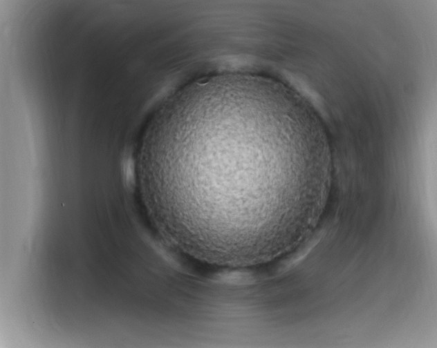 X0000115690067200911191122