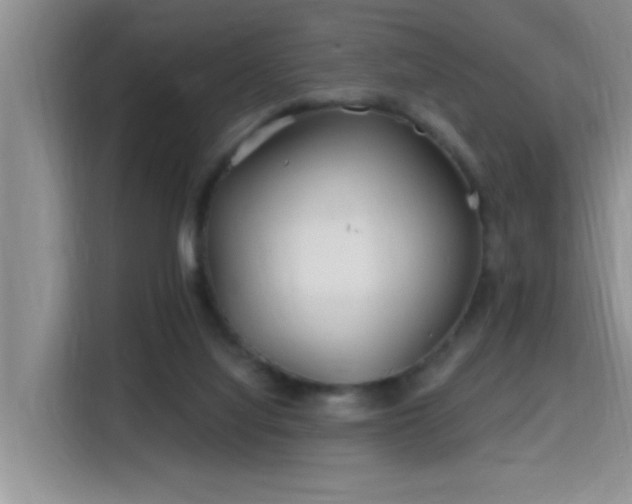 X0000115690068200911191122