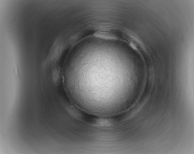 X0000115690073200911191122