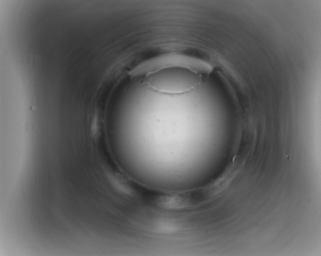 X0000115690074200911191122