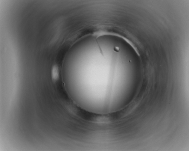 X0000115690075200911191122