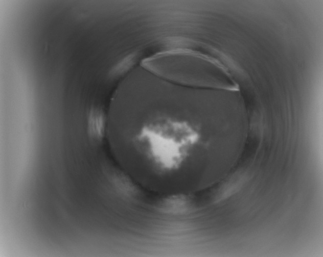 X0000115690076200911191122