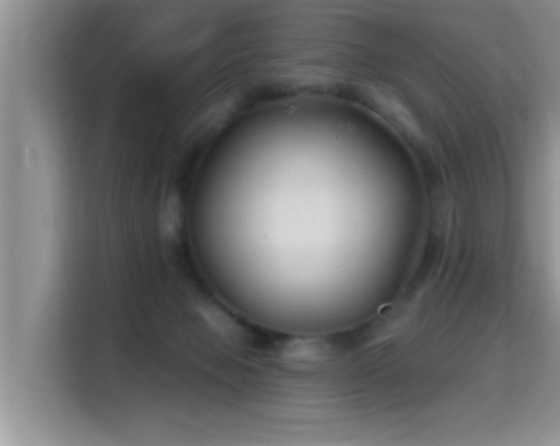 X0000115690077200911191122