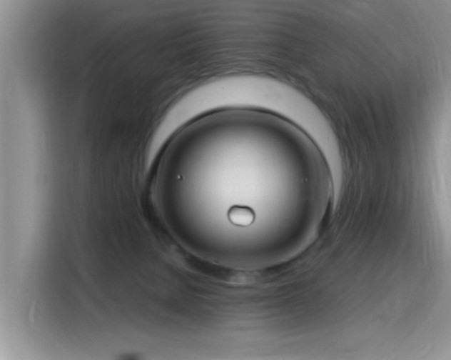 X0000115690080200911191122