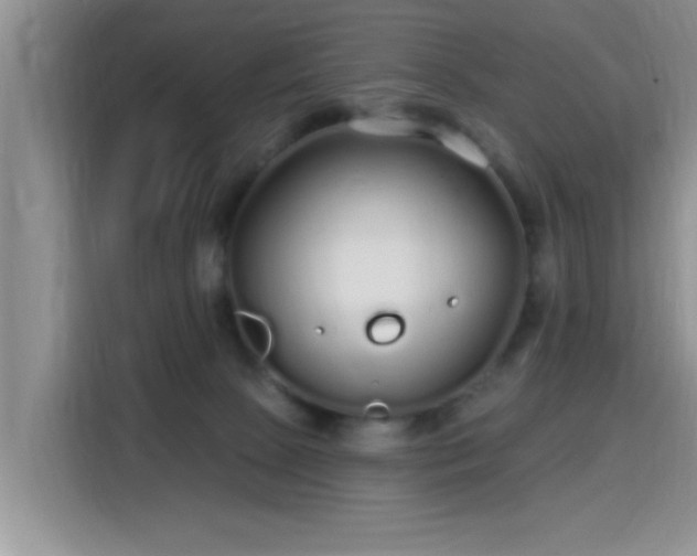 X0000115690081200911191122