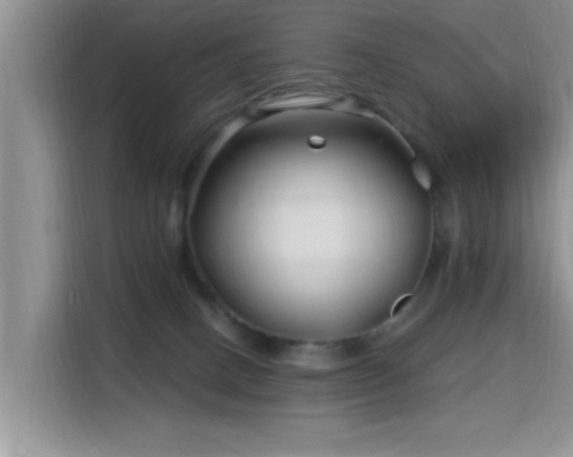 X0000115690082200911191122