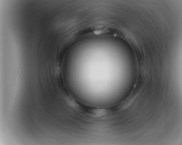 X0000115690085200911191122