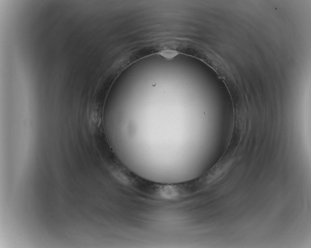 X0000115690091200911191122