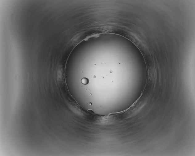 X0000115690092200911191122