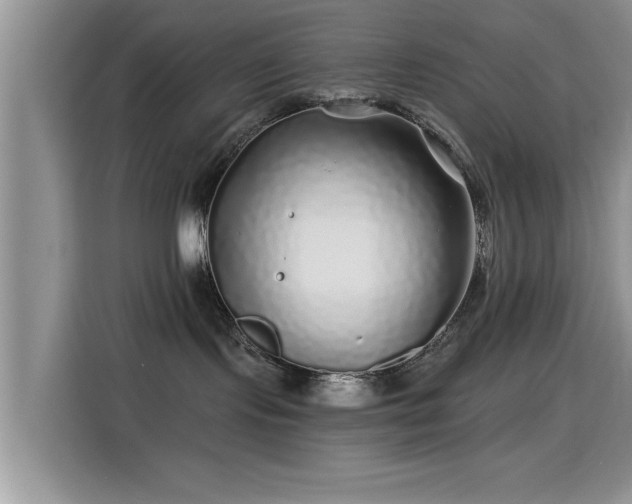 X0000115690095200911191123