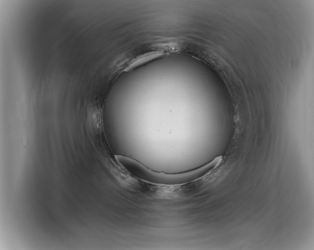 X0000115690096200911191123