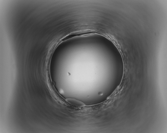 X0000115690097200911191122