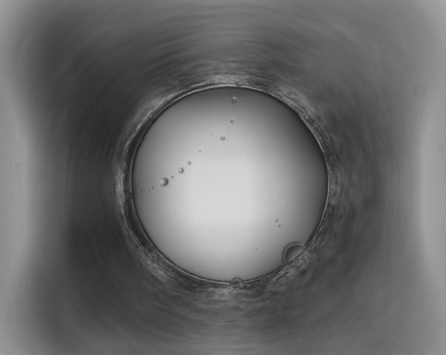 X0000115690098200911191122