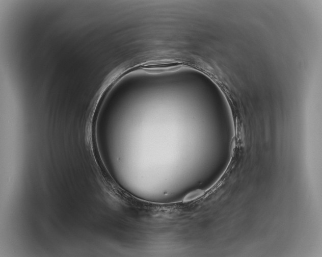 X0000115690099200911191122