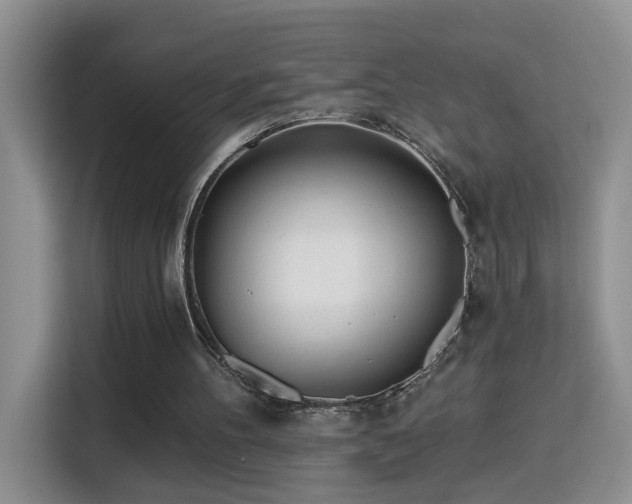 X0000115690100200911191122