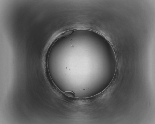 X0000115690103200911191122