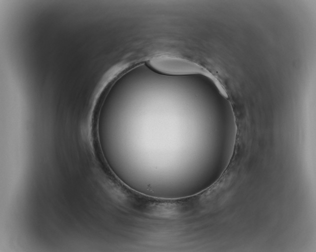 X0000115690104200911191122