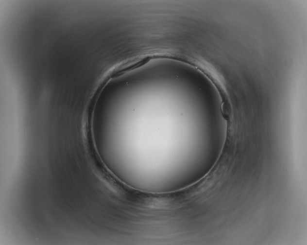 X0000115690107200911191122