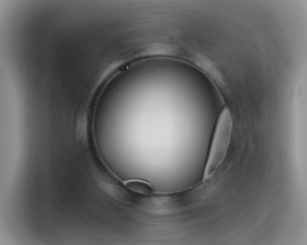 X0000115690108200911191122