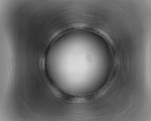 X0000115690110200911191122