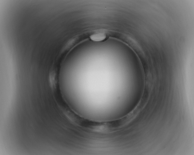 X0000115690116200911191122