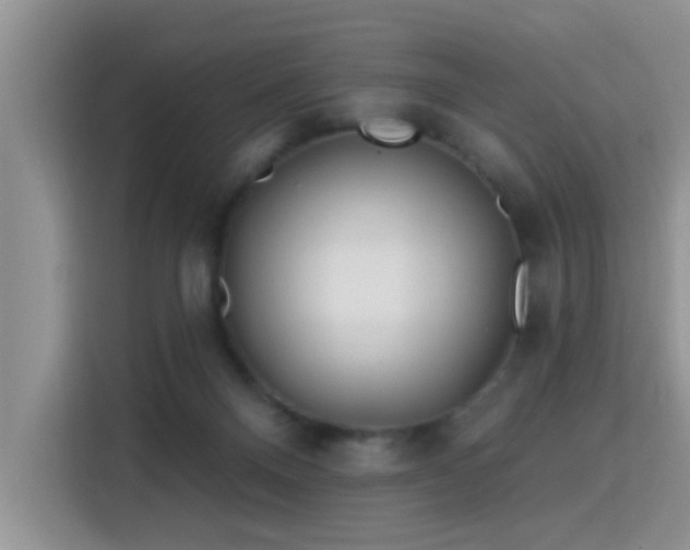 X0000115690120200911191122