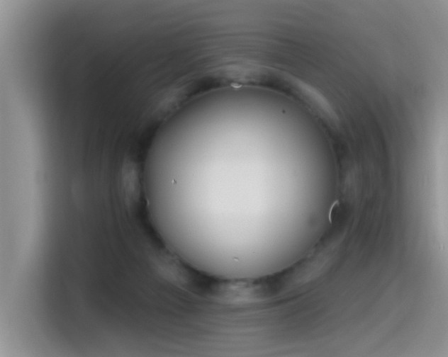 X0000115690121200911191122