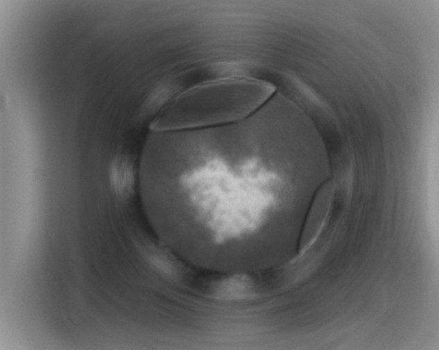 X0000115690124200911191122